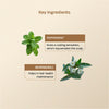 Sheeta Booster Oil With Peppermint & Karpoora