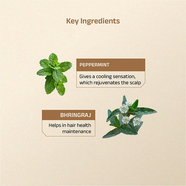 Sheeta Booster Oil With Peppermint & Karpoora